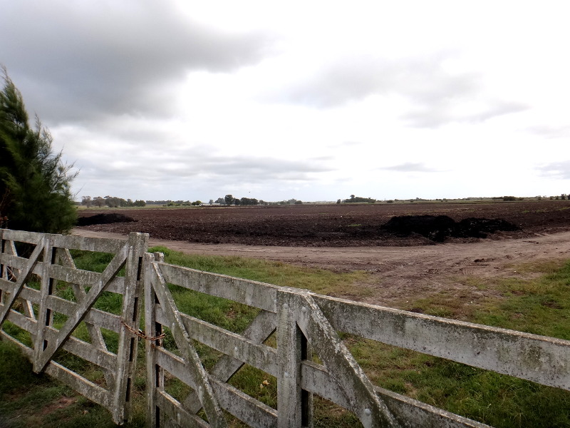 Estacion de «landfarming»_s