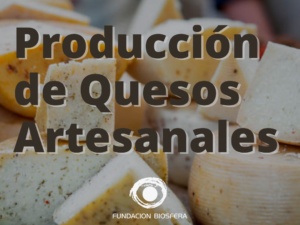 Producción de Quesos Artesanales presencial